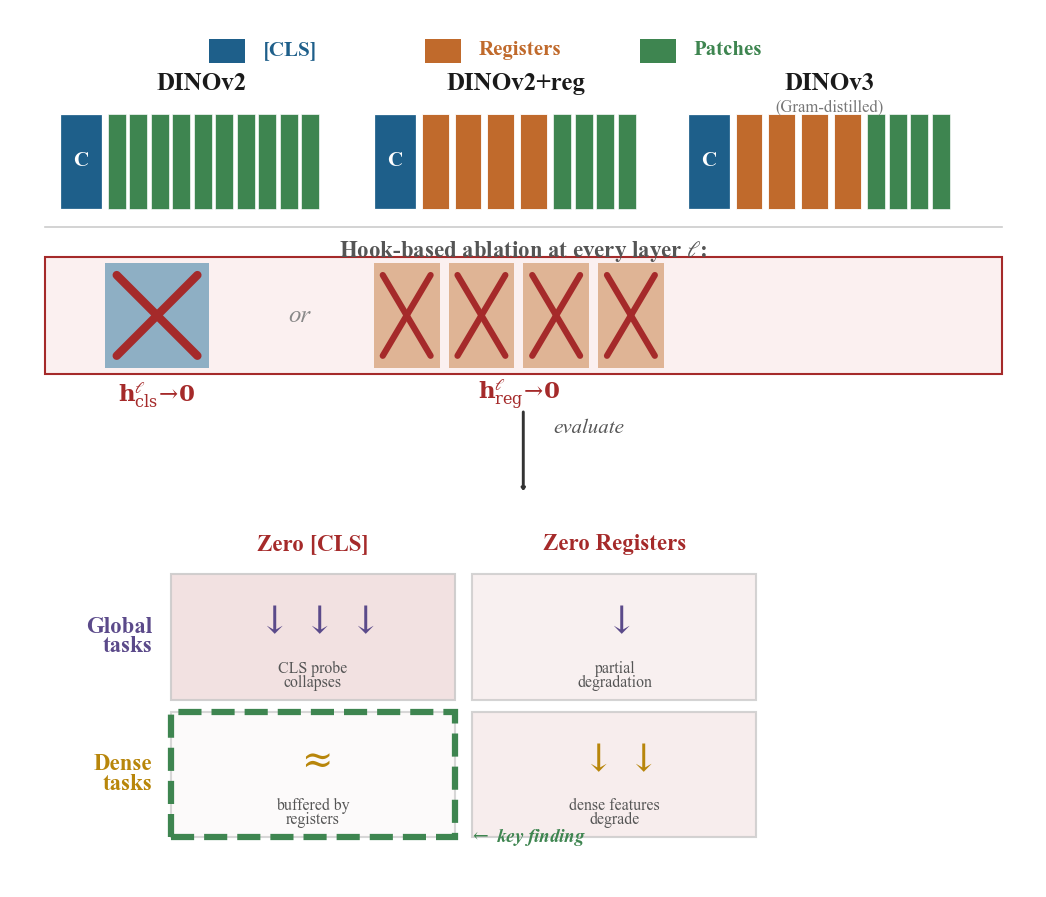 Experimental approach: ViT architecture with CLS and register tokens, showing zero-CLS and zero-registers ablation conditions