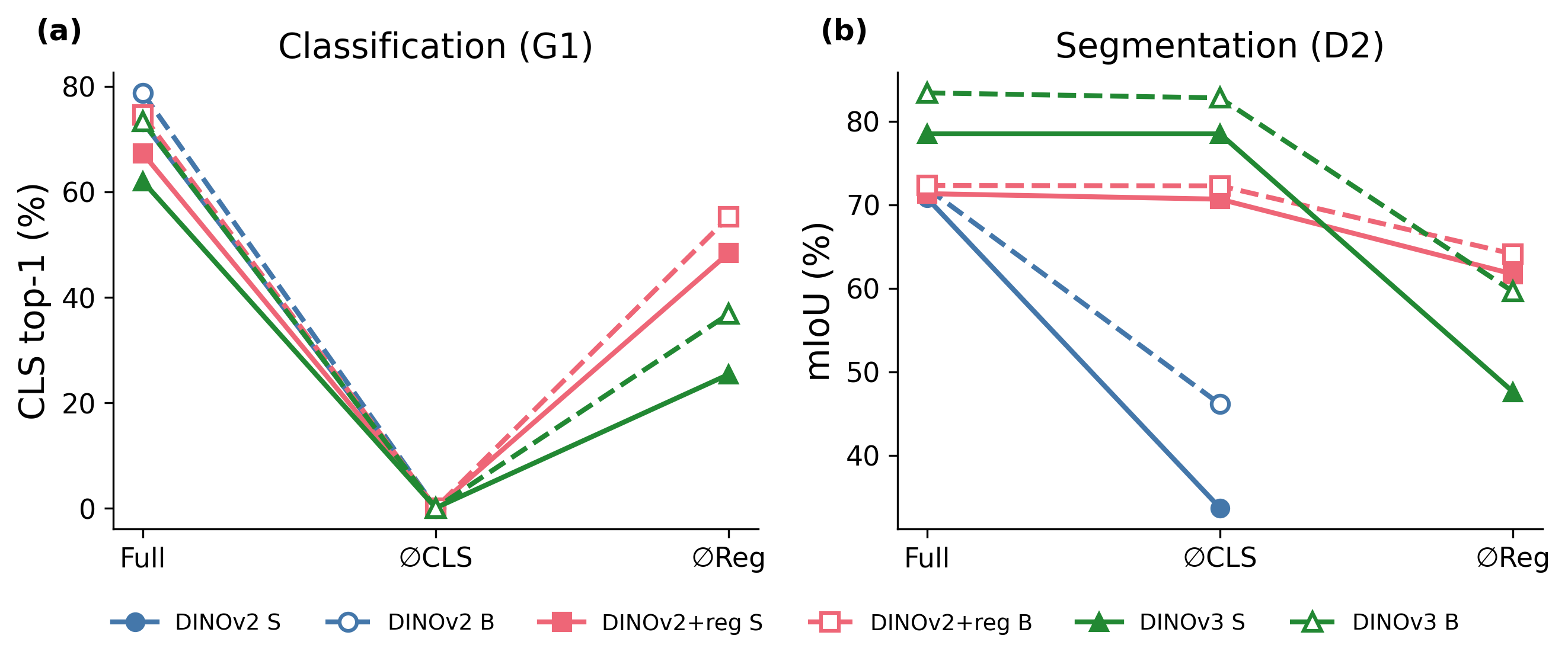 ViT-S vs ViT-B scale comparison